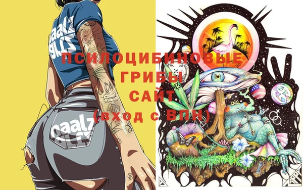 гашиш Касимов