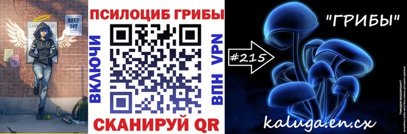 Купить закладки  Давлеканово  Псилоцибиновые грибы Psilocybine cubensis 